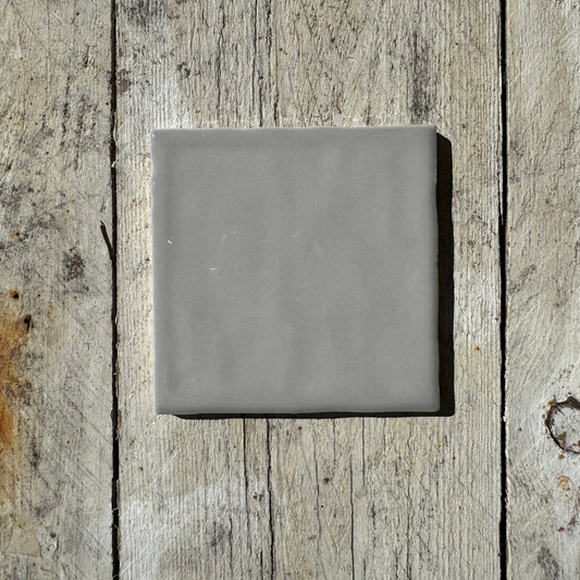 Oasis Grey Gloss 100x100
