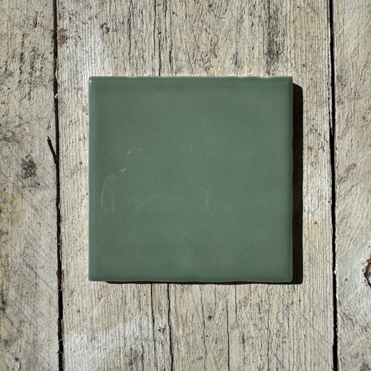 Oasis Sage Gloss 100x100