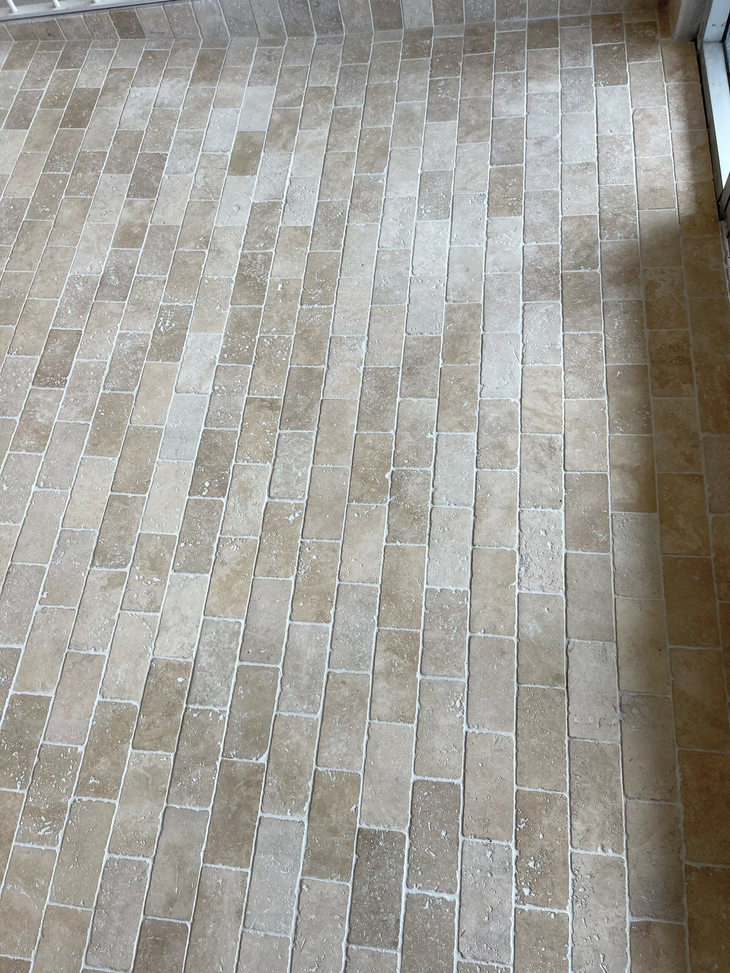 Calico Travertine Tumbled/Unfilled Premium