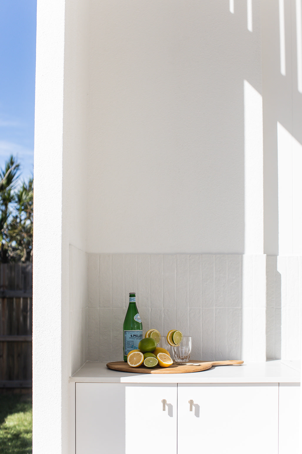 Seagull for N.A.S Projects