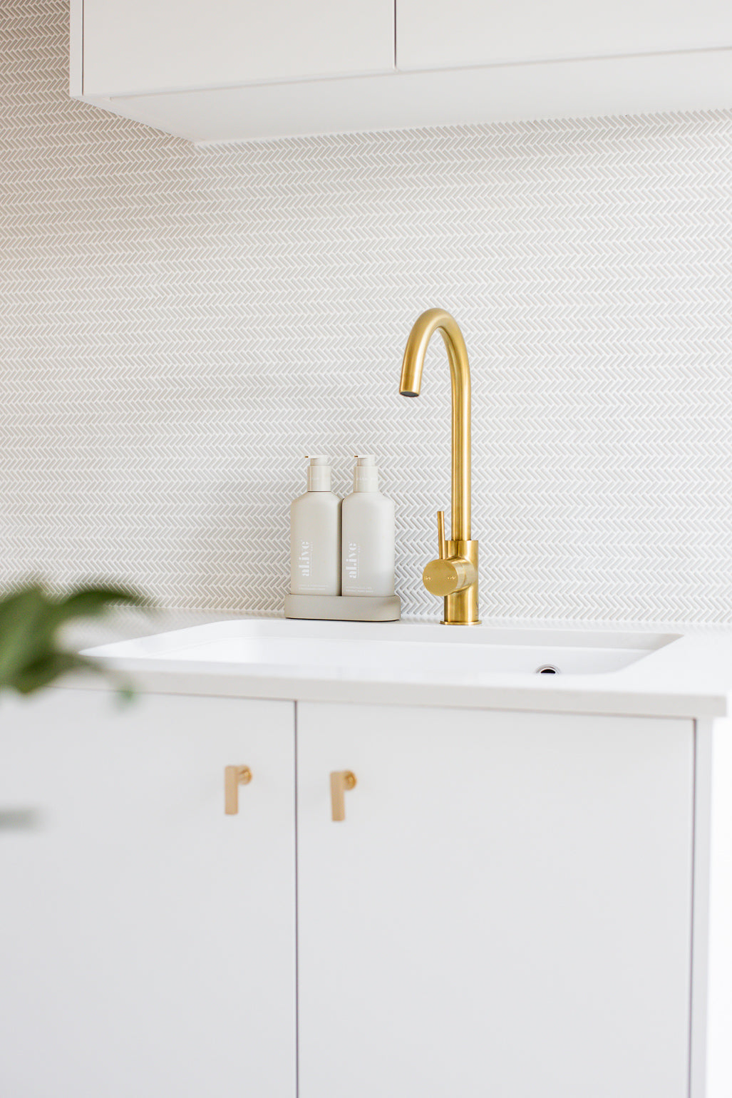 Seagull for N.A.S Projects