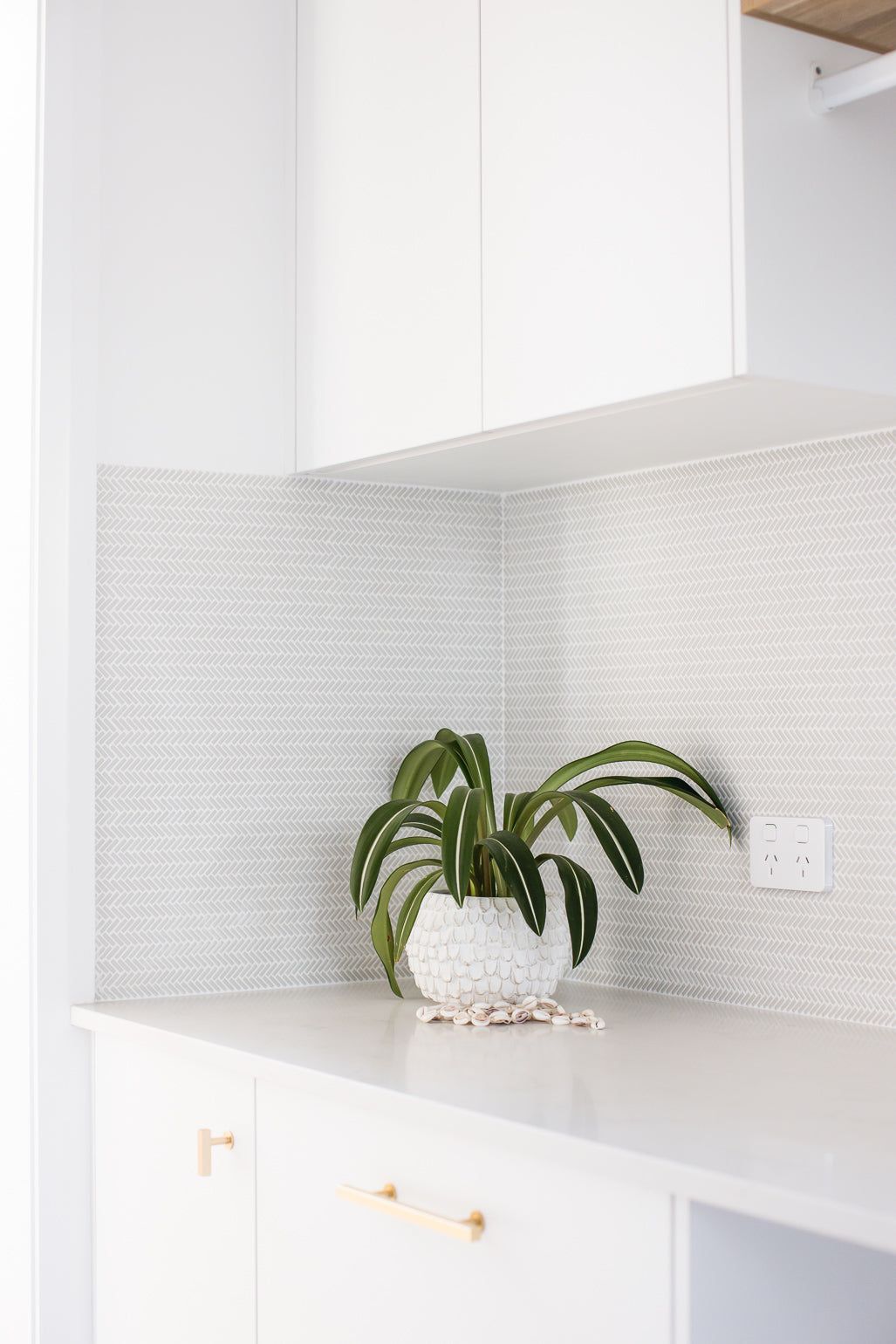 Seagull for N.A.S Projects