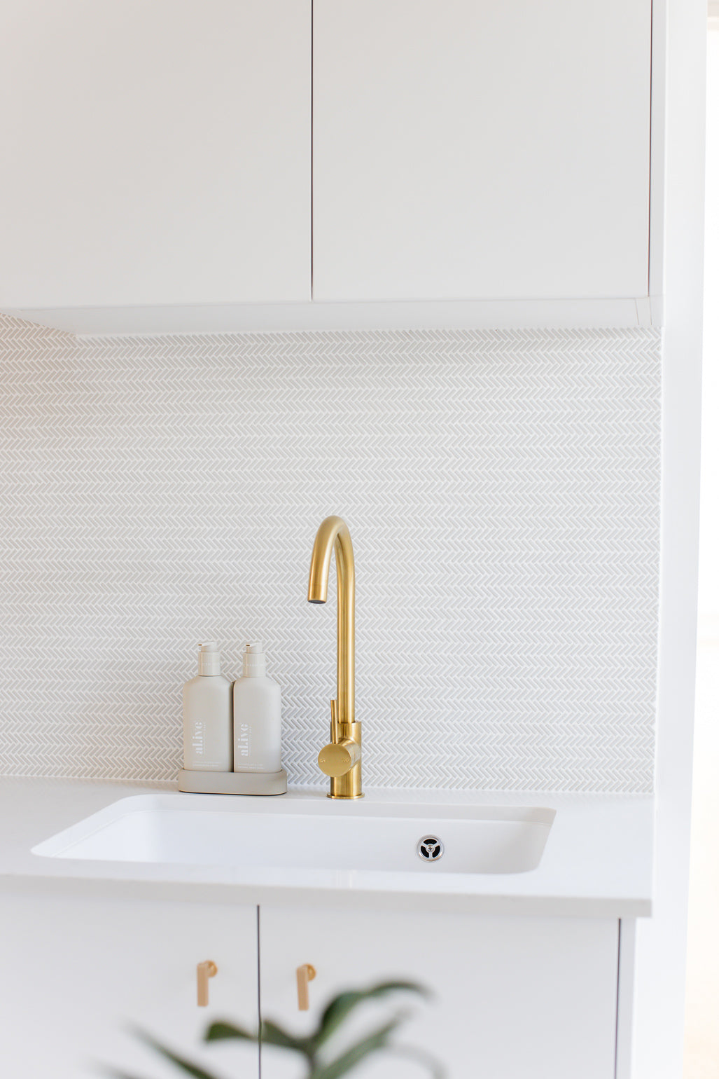 Seagull for N.A.S Projects