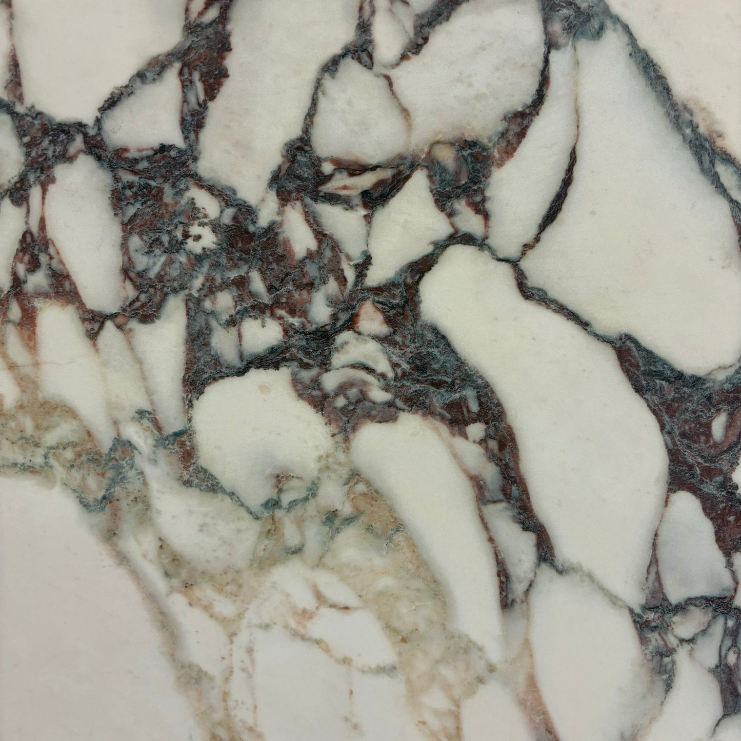 Viola Porcelain